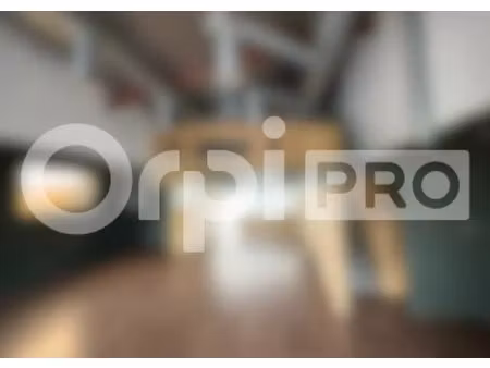 location commerce 370 m²