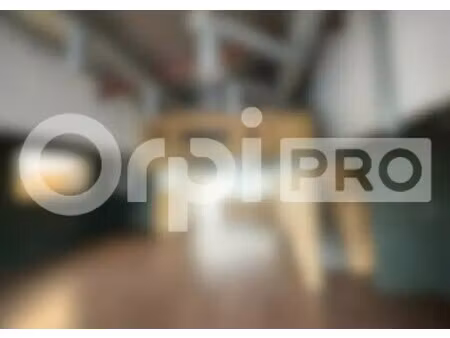 location commerce soorts hossegor 40150 370m²