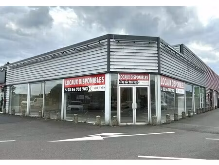 location commerce blois 41000 313m²
