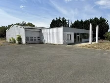 location commerce 147 m²
