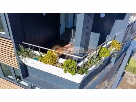 vente bureaux 240 m²