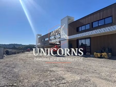 location commerce pinsaguel 31120 250m² à 1922m²