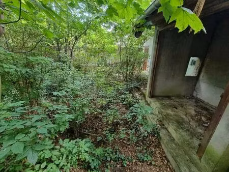 location commerce 200 m² à 306 m²