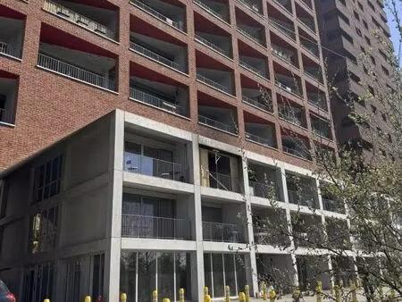 location commerce 100 m² à 375 m²