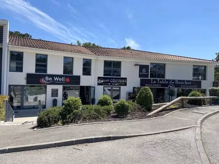 vente commerce le tholonet 13100 528m²