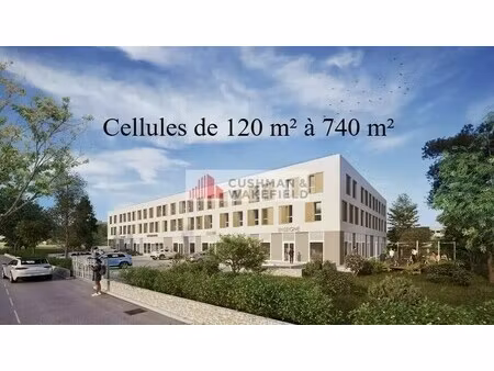 vente bureaux 114 m² à 2 953 m²