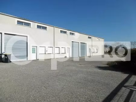vente local d’activités montech 82700 300m²
