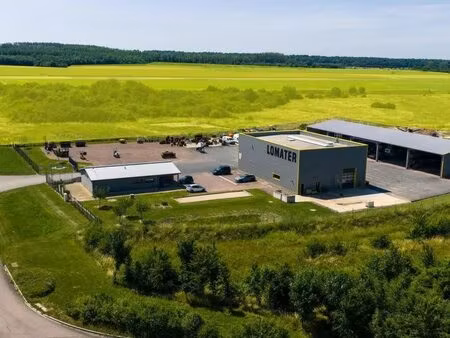 vente terrain damblain 88320 5000m²