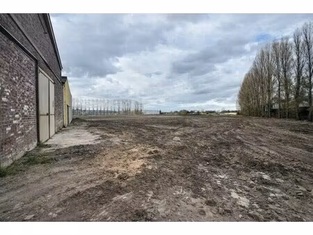 vente terrain 9 956 m²