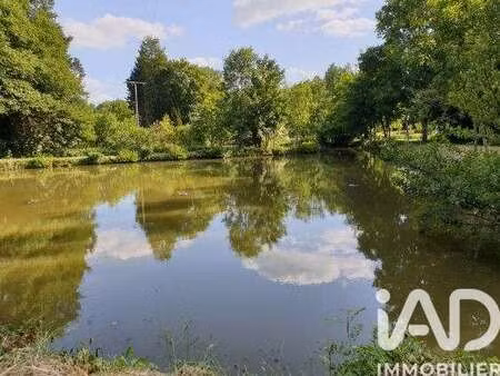 vente terrain à montreuil-le-henri (72150) : à vendre / 11797m² montreuil-le-henri