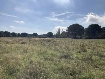 vente terrain 19 839 m²