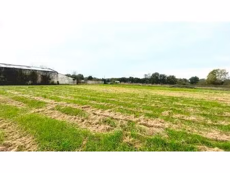 vente terrain 1 090 m²