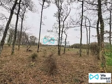 vente terrain 50 949 m²