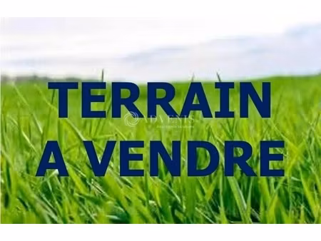 vente terrain 4 054 m²
