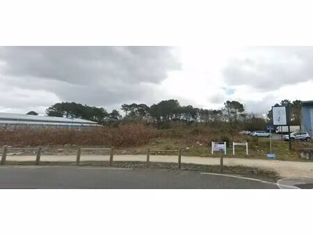 vente terrain 6 000 m²