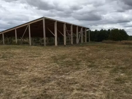 vente terrain 3 000 m²