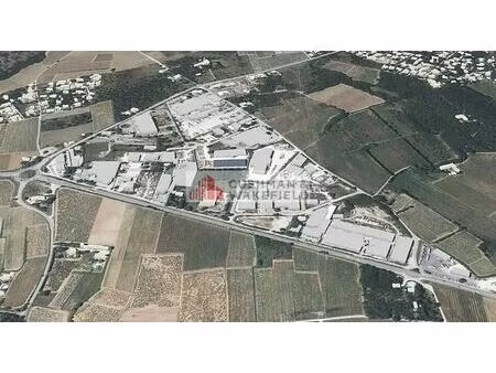 vente terrain 10 004 m²