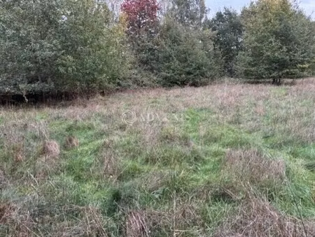vente terrain le mans 72000 4871m²