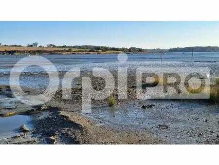 vente terrain 2 265 m²