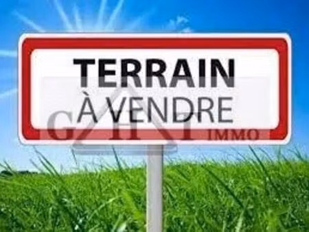vente terrain 60 000 m²