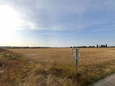 vente terrain 60 000 m²