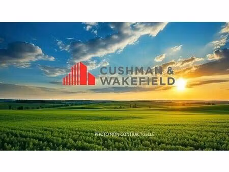 vente terrain 8 039 m²