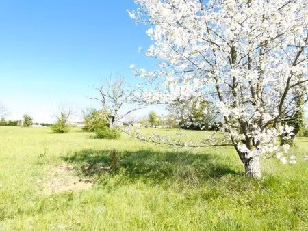 vente terrain 12 124 m²