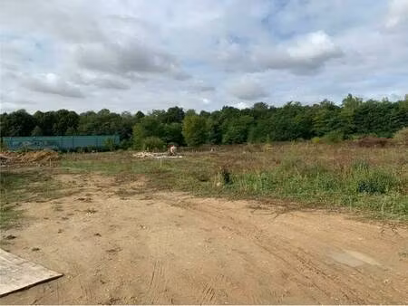 vente terrain 6 560 m²