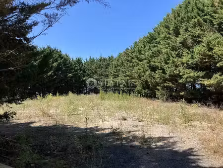 vente terrain trouy 18570 2250m²