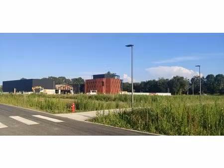 vente terrain 55 000 m²