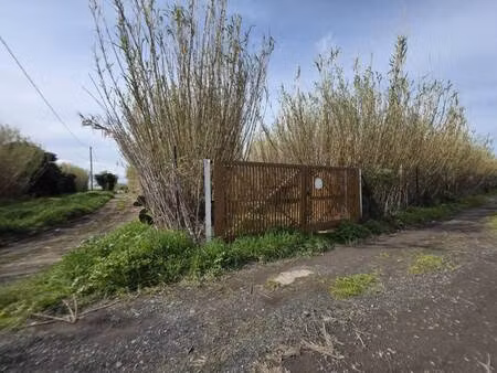 terrain champêtre/forestier à vendre