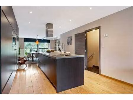 commerce - rez-de-chausée