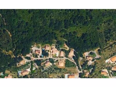 tinnirello rémy capifrance