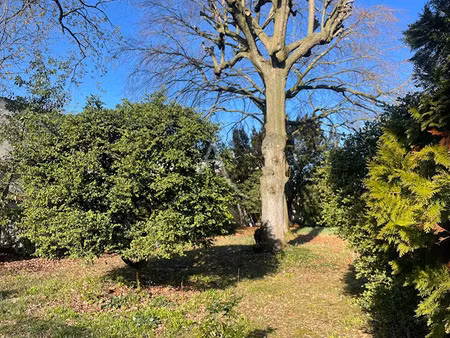 vente terrain 650 m² à maisons-laffitte (78600)  685 000 €