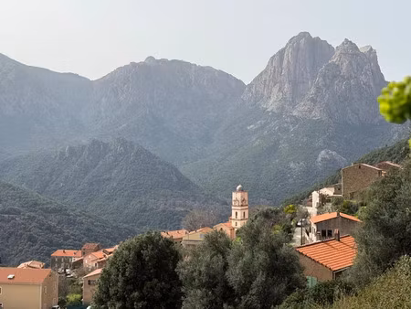 vente terrain 1037 m² à ota (20150)  129 000 €