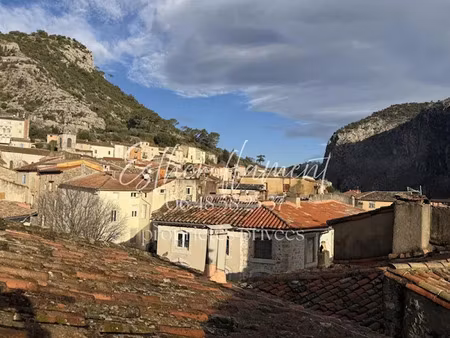 vente immeuble 10 pièces 318 m² à anduze (30140)  550 000 €