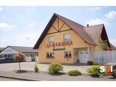 hindisheim - maison 393m² avec t5/152m²+commerce - hindisheim