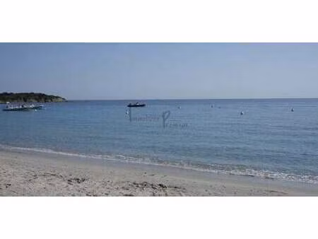 terrain porto-vecchio (2a)