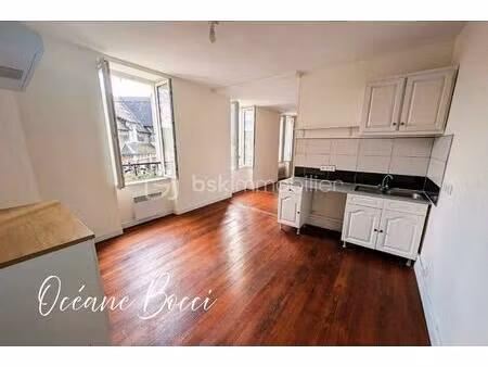 appartement de 54 38 m² à vierzon