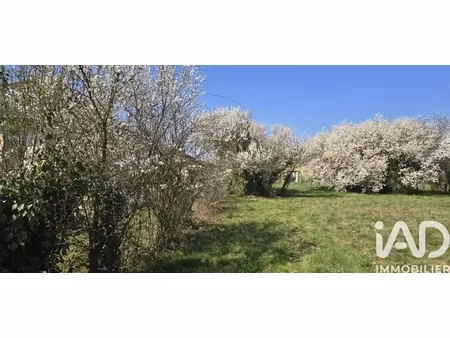 vente terrain 1 213 m²