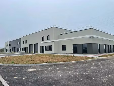 location local d'activités bergheim 3 000 m²