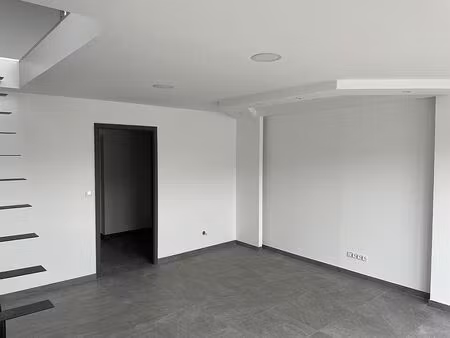 location local d'activités rixheim 200 m²