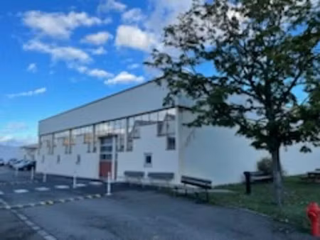 location local d'activités wintzenheim 800 m²