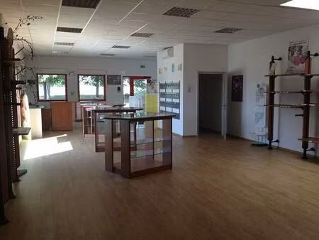 location commerce sausheim 677 m²