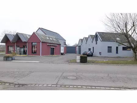 vente commerce bennwihr 745 m²