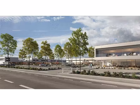 vente commerce colmar 9 539 m²