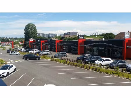 vente commerce morschwiller le bas 260 m²