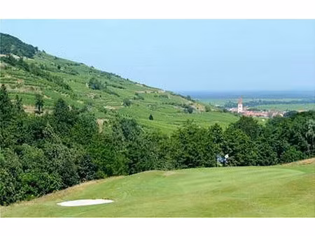 vente commerce ammerschwihr 313 m²