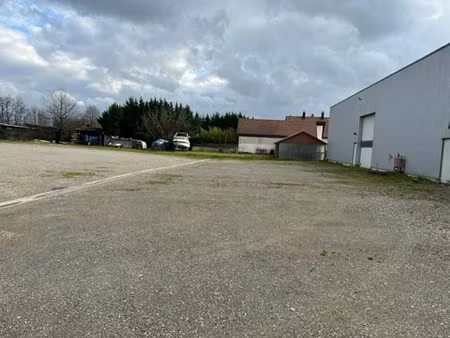 vente local d'activités bartenheim 1 472 m²