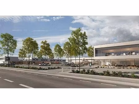 vente local d'activités colmar 9 539 m²